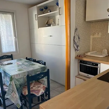 Apartment T2 Avec Terrasse, Parking Prive Et Piscine Securisee, Proche Richelieu - Fr-1-749-37 Agde